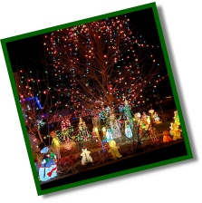 Carnival of Lights